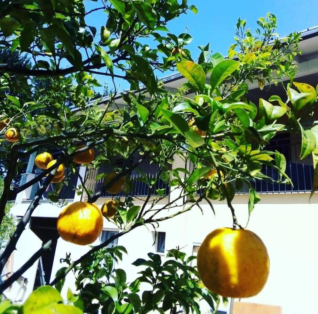 B&B Verdeoliva Modugno Luaran gambar