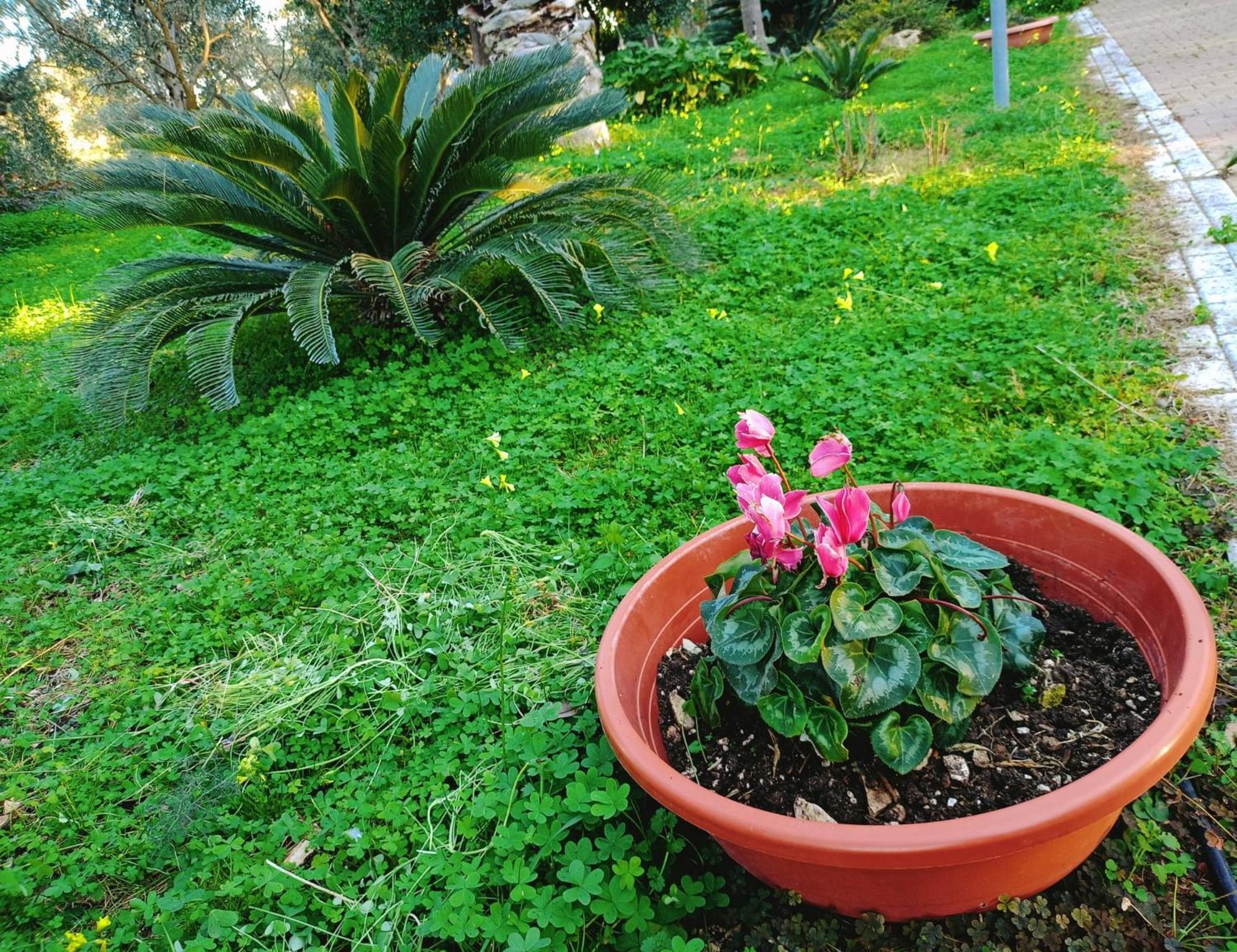 B&B Verdeoliva Modugno Luaran gambar